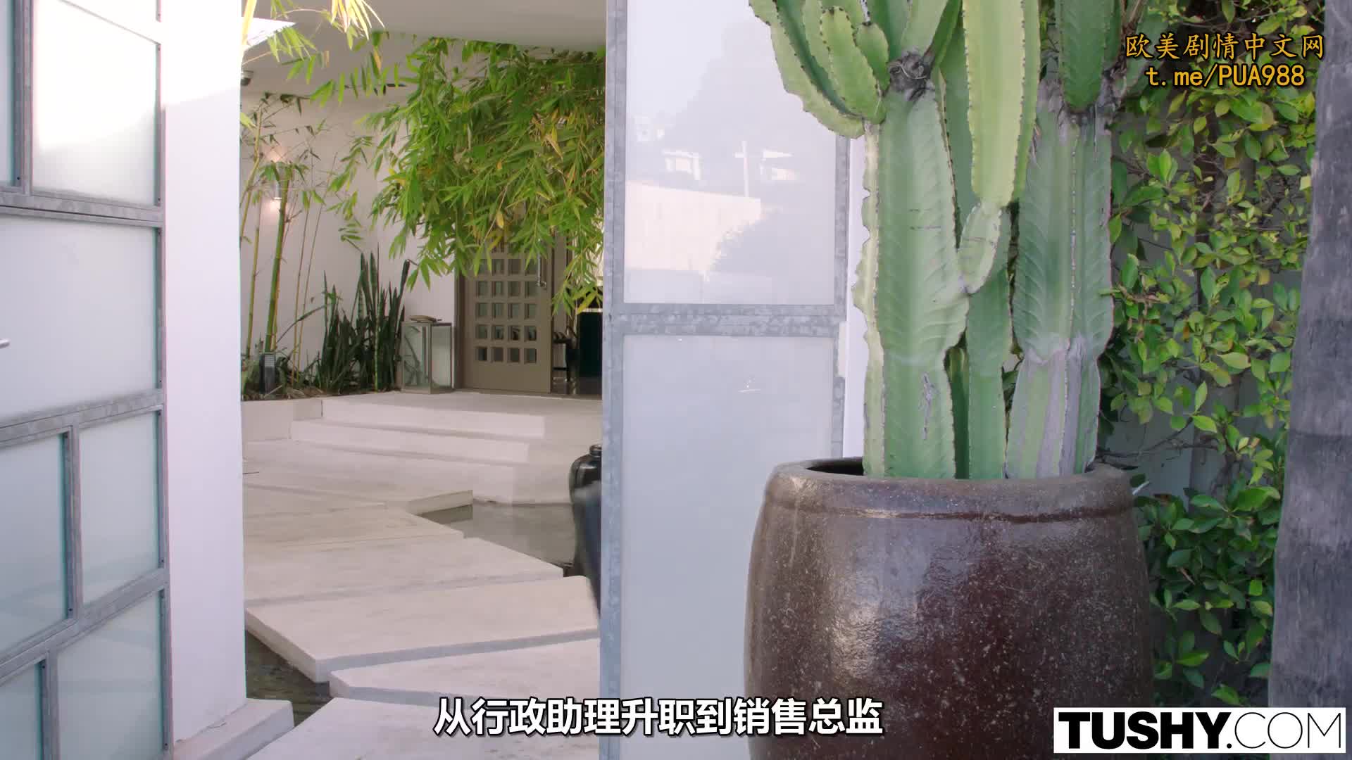 ，销售员总监与手下双飞前男友