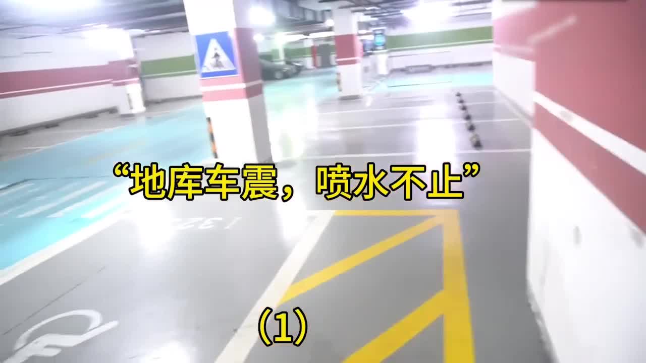 把秘书骗到地下车库