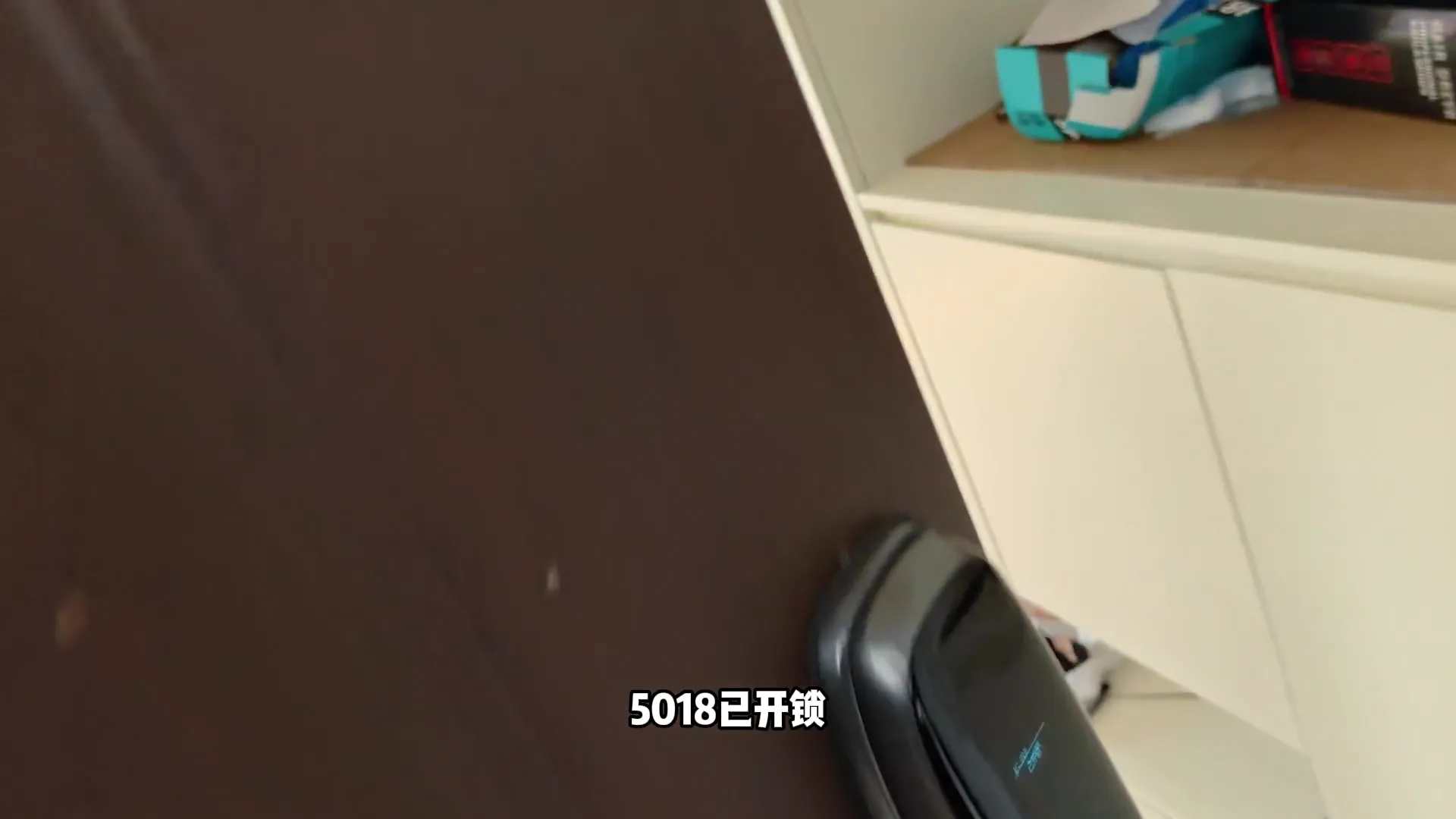 入体调教