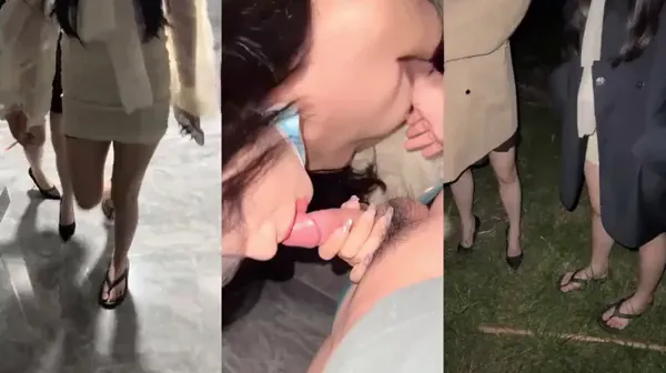 深夜公厕野战双飞