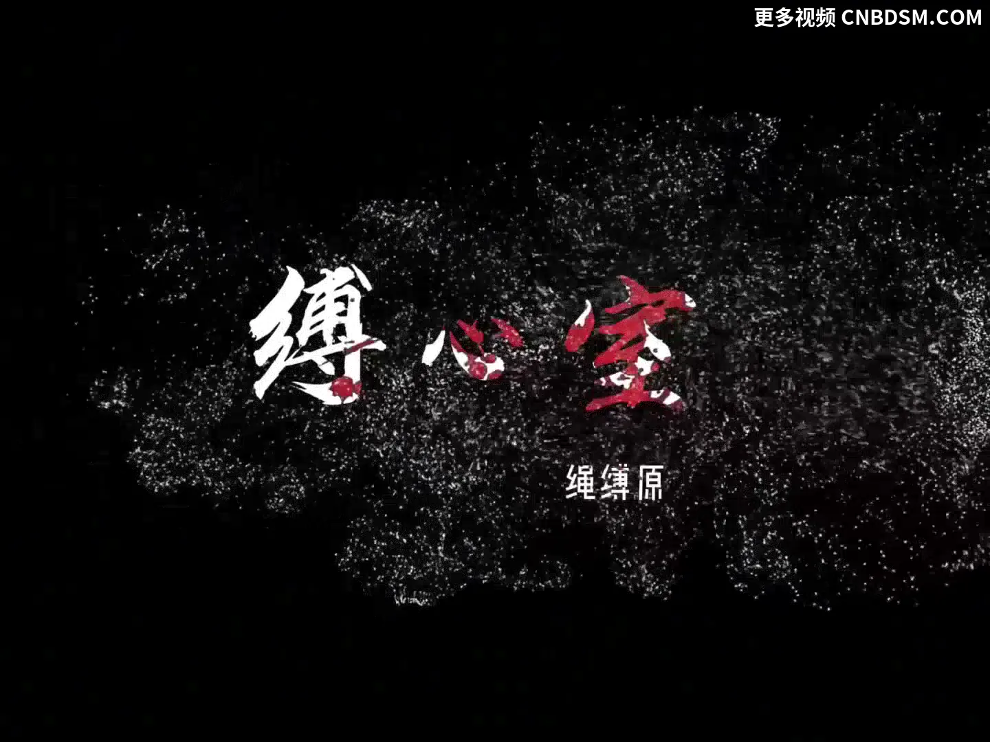 黑丝爆乳套装小美女极限直臂缚