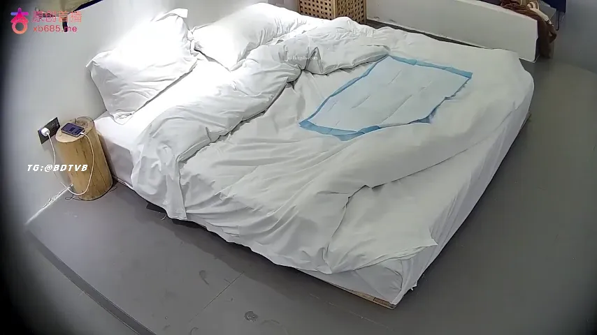 高贵气质的情妇和领导模样的大爷