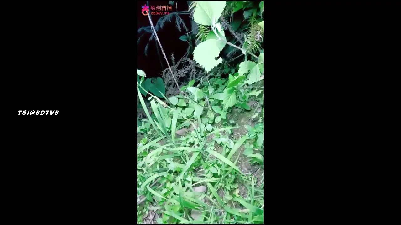 草丛中约草双胞胎姐妹