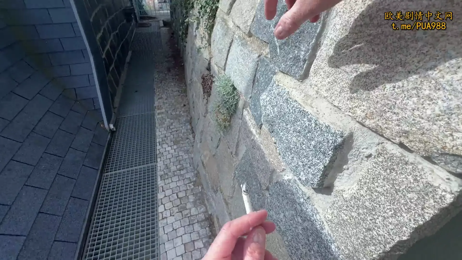 欠债肉偿