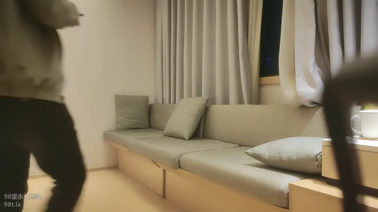 探花高级车模
